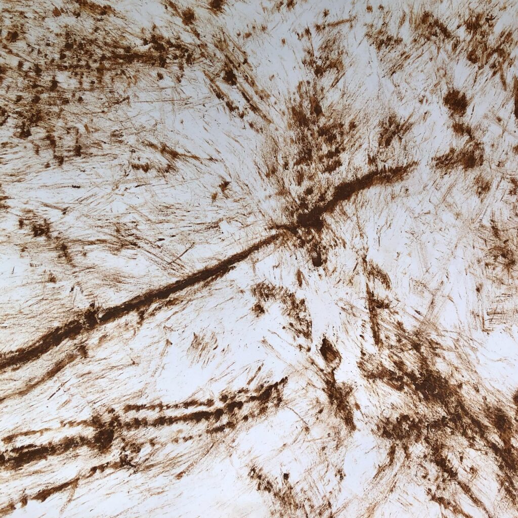 img 0776 clay markings square